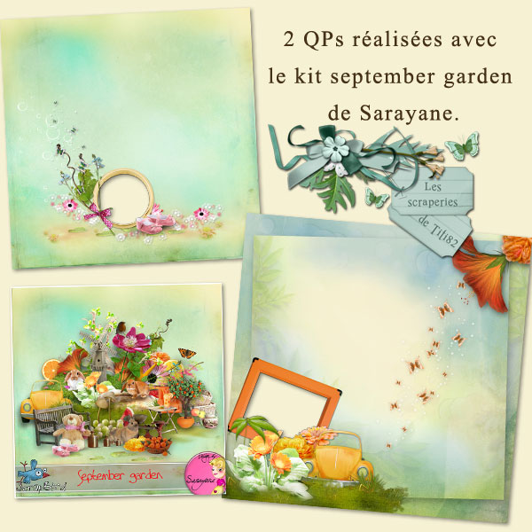 http://img73.xooimage.com/files/1/3/a/preview-2d5fefe.jpg