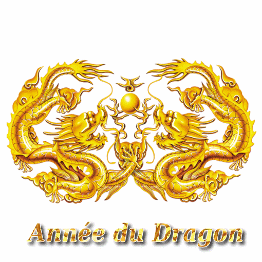 image pour le nouvel an chinois