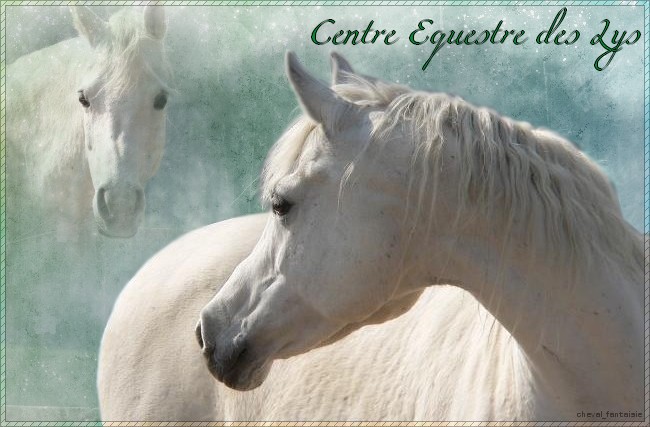 Le Centre Equestre des Lys
